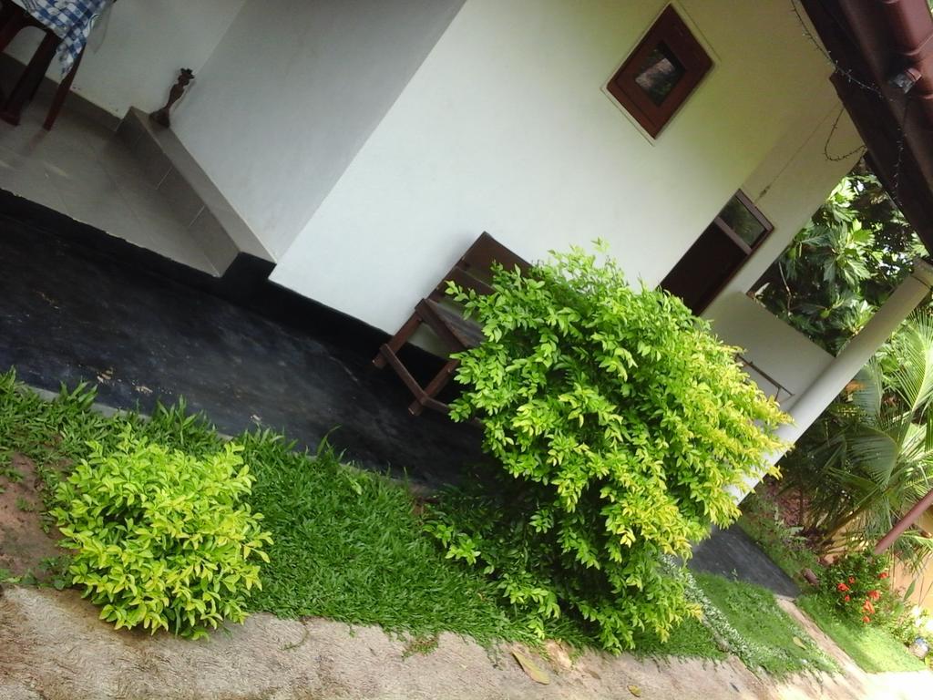 Hotel Himasha Guest Mirissa Exterior foto